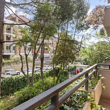 Terrace In Balduina - Near St Peter